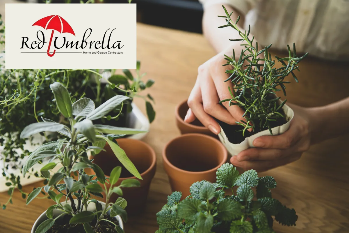 Planning an ADU for Aging Parents? Why June is the Best Time to Begin Your Multi-Generational Living Upgrade