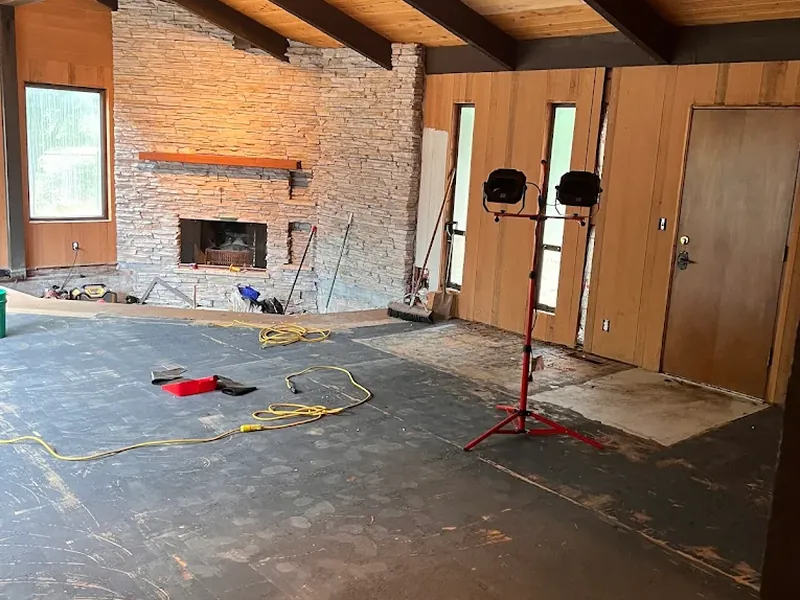 Mid-Century Great Room Remodel — project photo